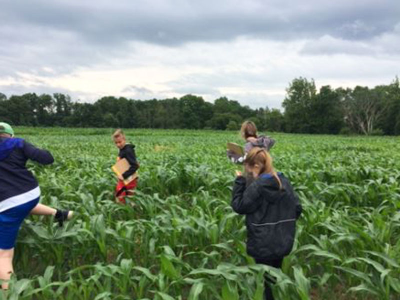 ExploreHope summer camp kids corn field