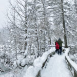 2024 Winter Activities in Michigan: Ski Resorts, Snow Tubing, Ice Skating & More