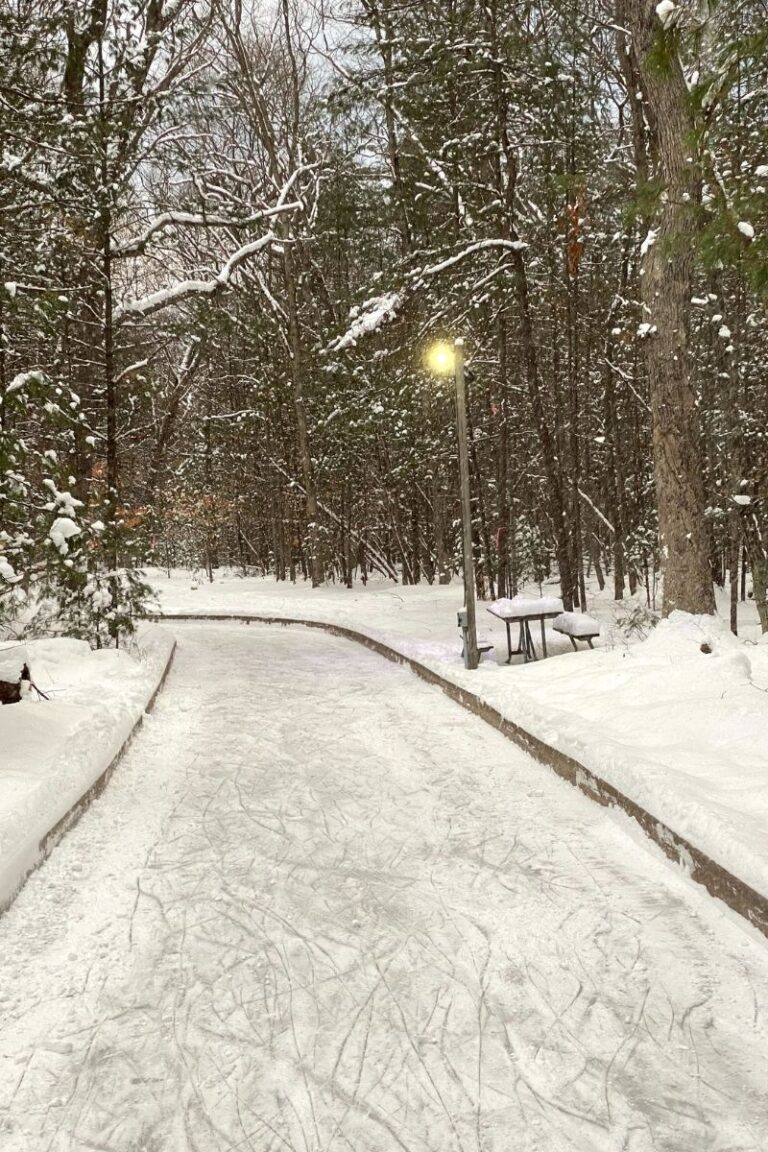Muskegon Ice Skating Trail, Luge & Other Winter Park Sports Open for