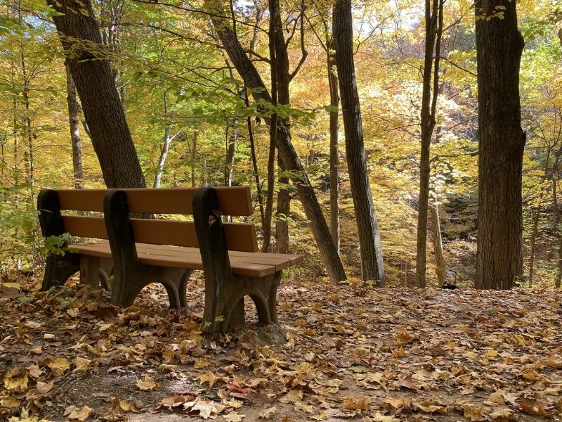 Bench on Yellow Trail marks Creek at  Cascade Peace Park