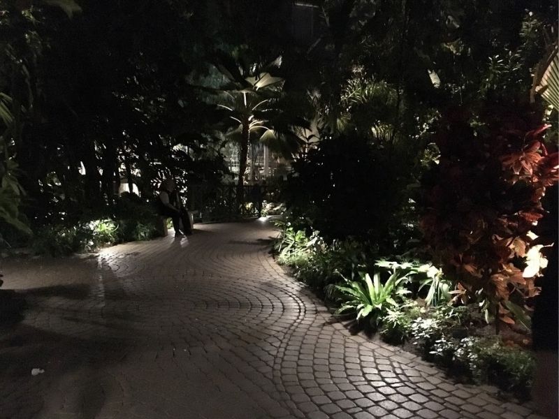 Meijer Gardens Conservatory at Night