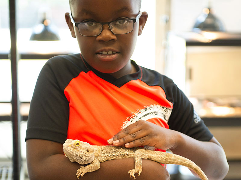 Van Andel Summer Camps 3 student with lizard