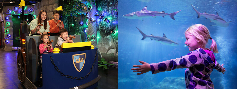 LEGOLAND Discovery Center and SEA LIFE Aquarium 800x300 1