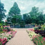 35+ Fabulous Things to Do in Holland MI: The Ultimate Trip Planner