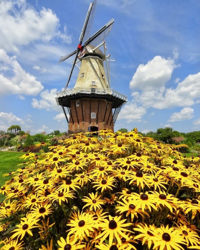 Windmill Island Gardens Holland MI