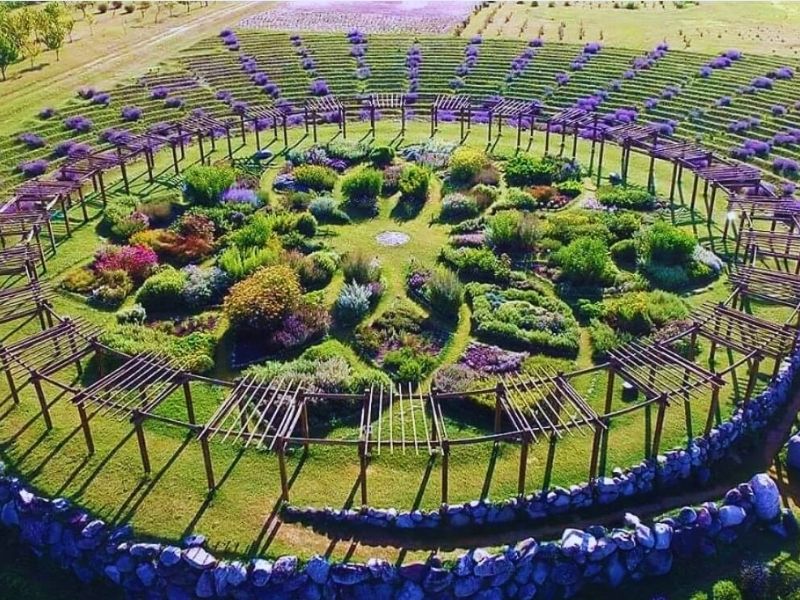 Michigan Lavender farms & labyrinths