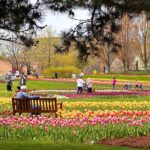 Window on the Waterfront Park: Fun Nature Playscape, Gorgeous Tulips Plus an Urban Trail – Holland 2024