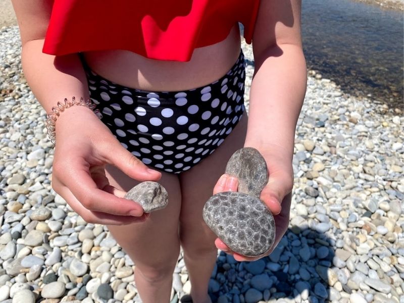 searching for Petoskey stones