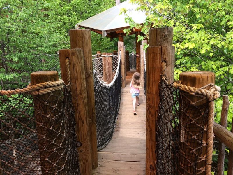 Frederik Meijer Gardens treehouse (1)