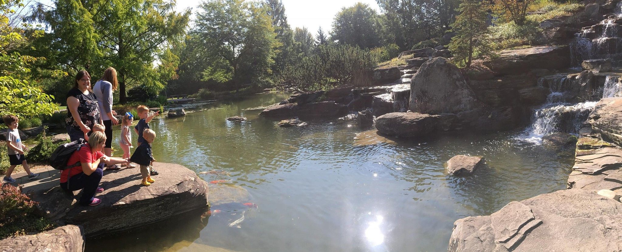 Meijer Gardens Fish Pond