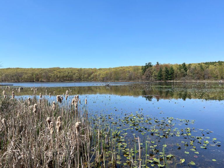 The Pickerel Lake 2Mile Hiking Loop is an Easy Weekday Nature Escape