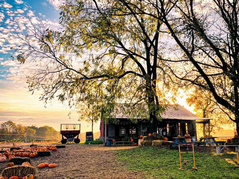 Deep-Roots-Produce-farm-overview-sunset-pic-fall