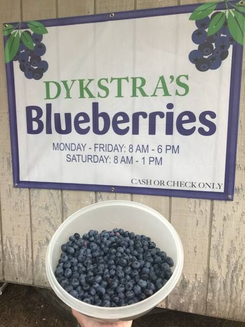 Dykstra's Blueberries Hudsonville MI