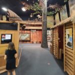 Lakeshore Museum Includes the Museum of History & Science With Two Floors of Hands-On Exploration