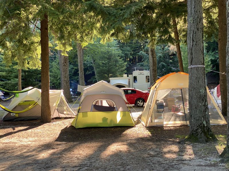 Ludington State Park campground - camping in Michigan at Beechwood Campground