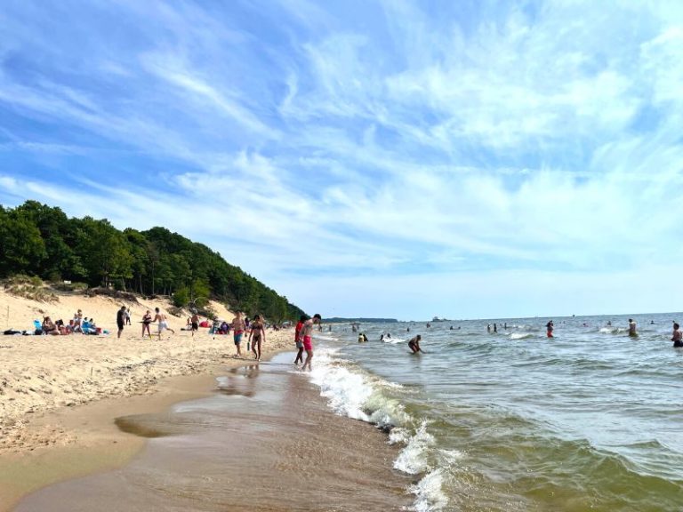 Saugatuck Dunes State Park 2024: Hike to this Gorgeous Lake Michigan ...