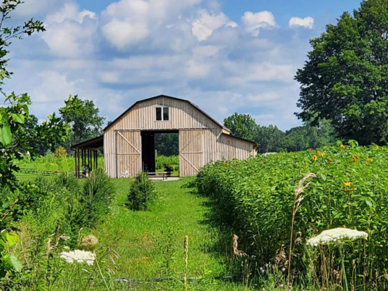 17 Colorful Michigan Flower Farms that Want You to Come Flower Picking ...