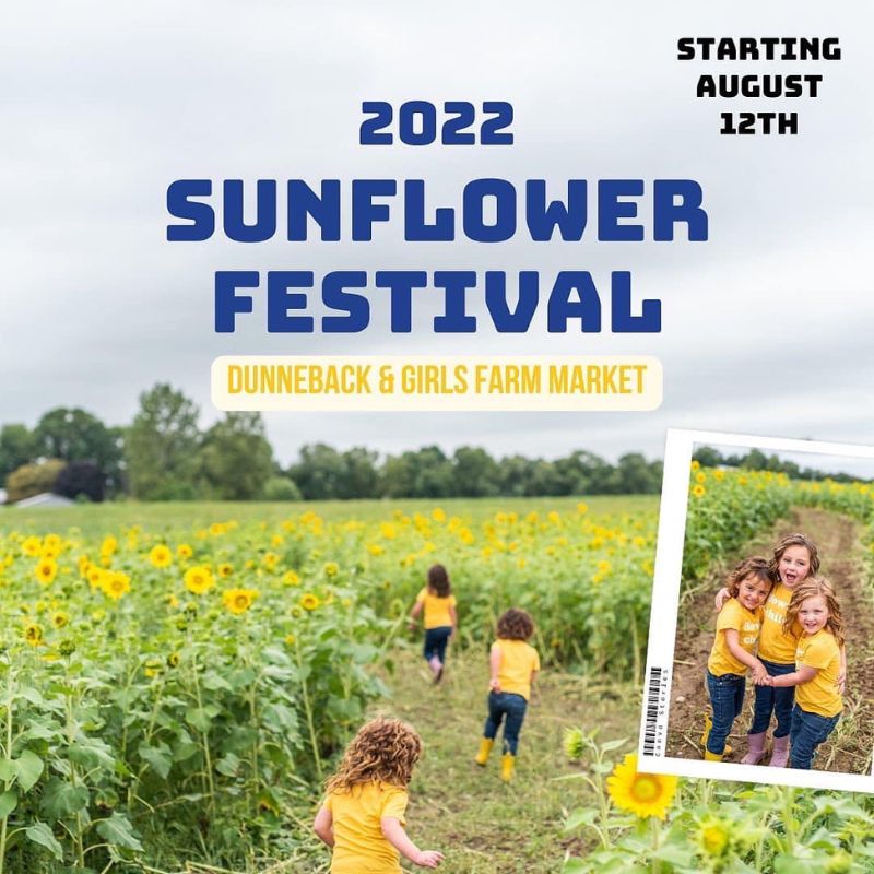 Sunflowers at Ed Dunneback Girls Grand Rapids Michigan 2022