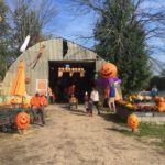 Go Big or Gourd Home: Bethke Farms’ Massive Pumpkin Selection Awaits in Grand Haven – 2025