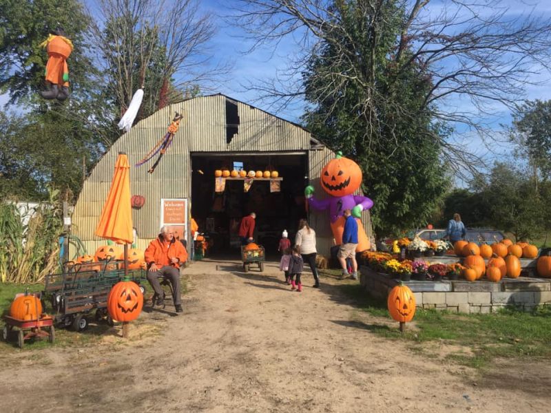 Bethke Farms store entrance pumpkins