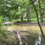 Buck Creek Preserve is an Urban Nature Park Ripe for Birdwatching, Deer Spotting & Wildflowers