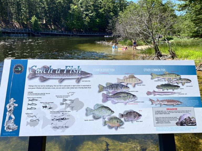 Ludington State Park 2024 Stunning Beaches, Lighthouse, Sand Dunes