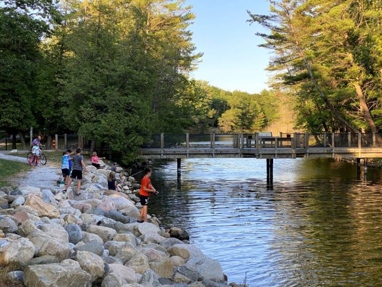 Ludington State Park: Stunning Beaches, Lighthouse, Sand Dunes, Hiking ...