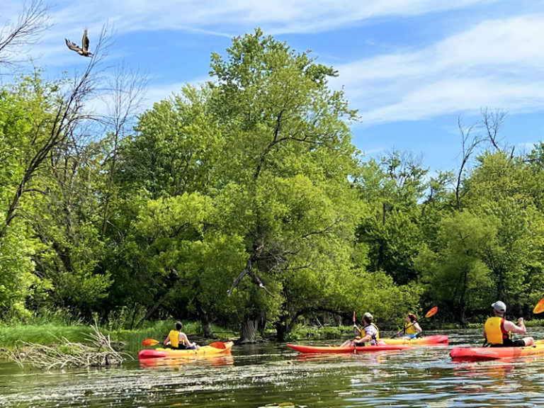 Riverside Park Has the Prettiest Walk in GR (+ an Accessible Kayak