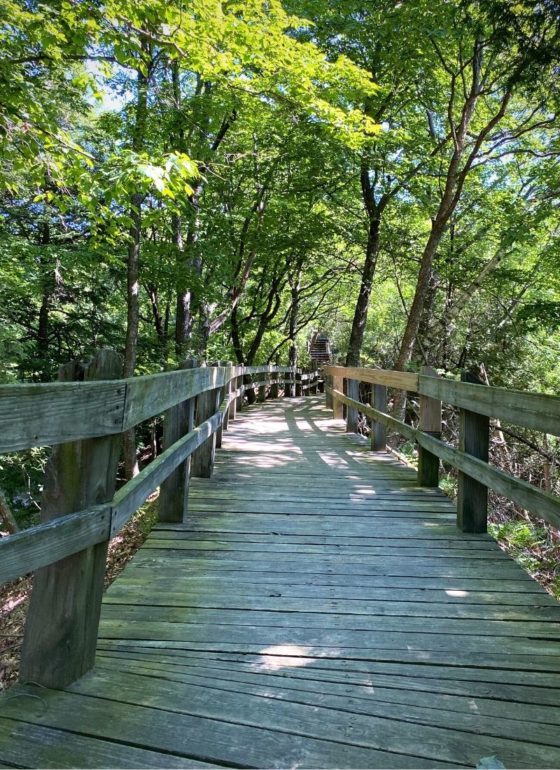 Ludington State Park 2024: Stunning Beaches, Lighthouse, Sand Dunes ...