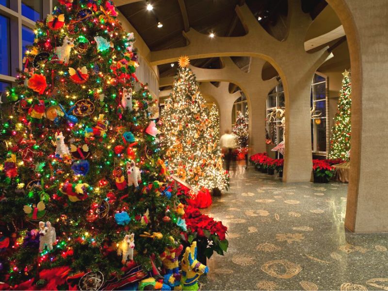 Christmas-trees-Frederik-Meijer-gardens-Grand-Rapids-Michigan-2