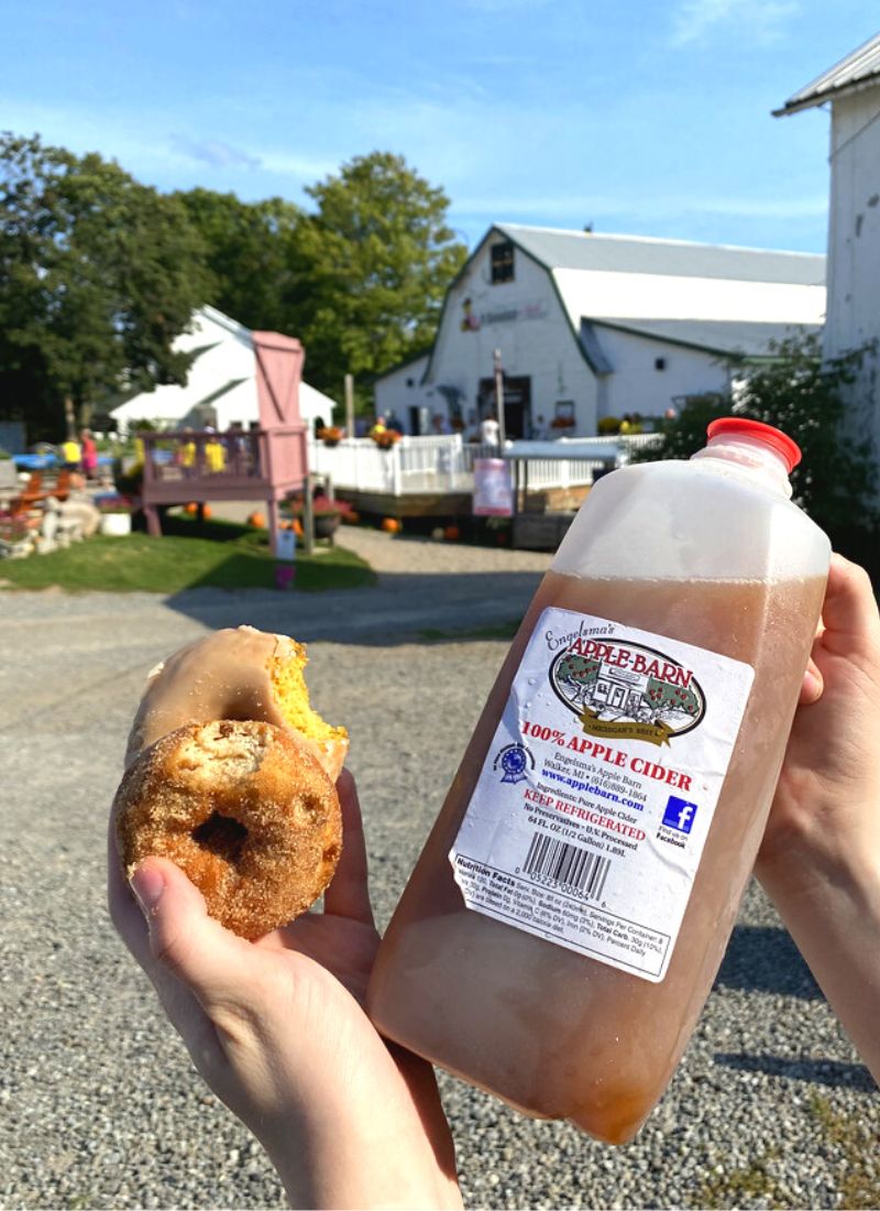 Ed Dunneback Donuts and Cider
