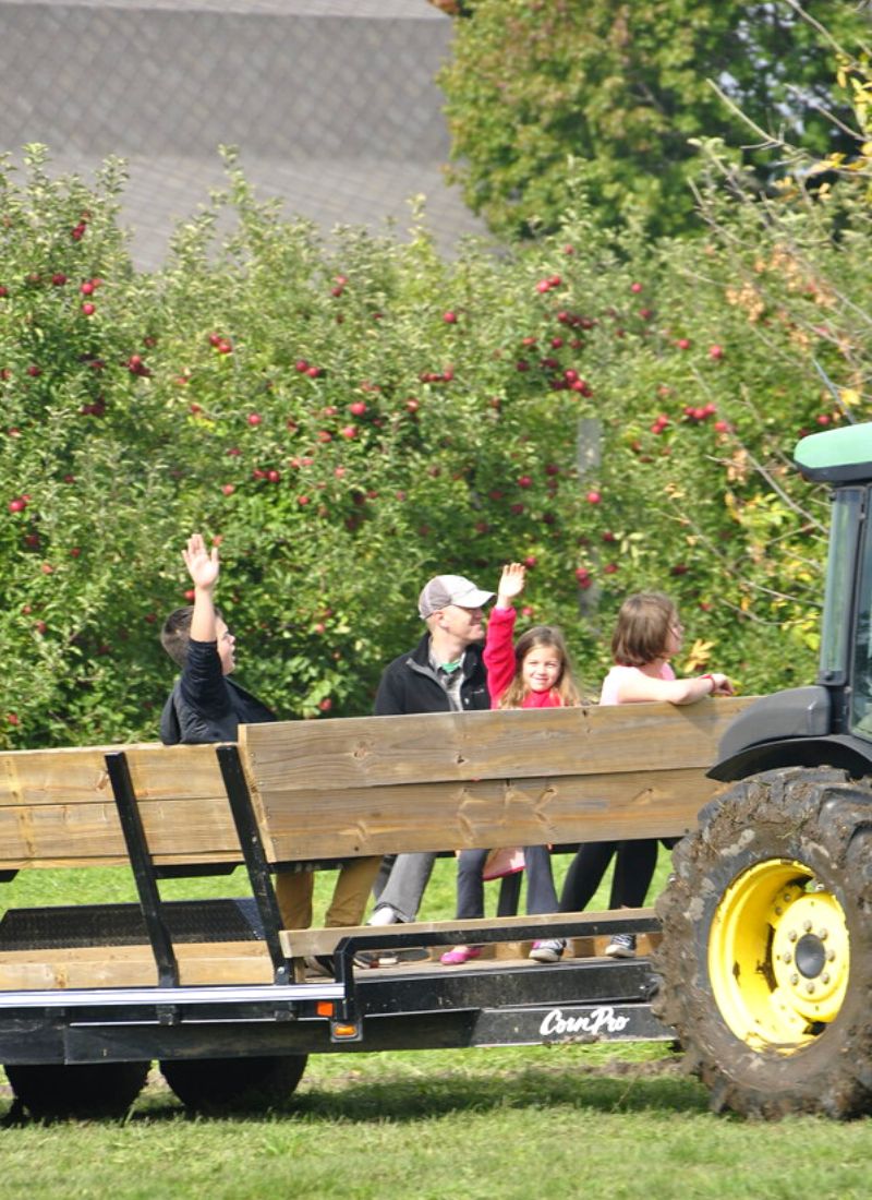 Ed Dunneback hayrides