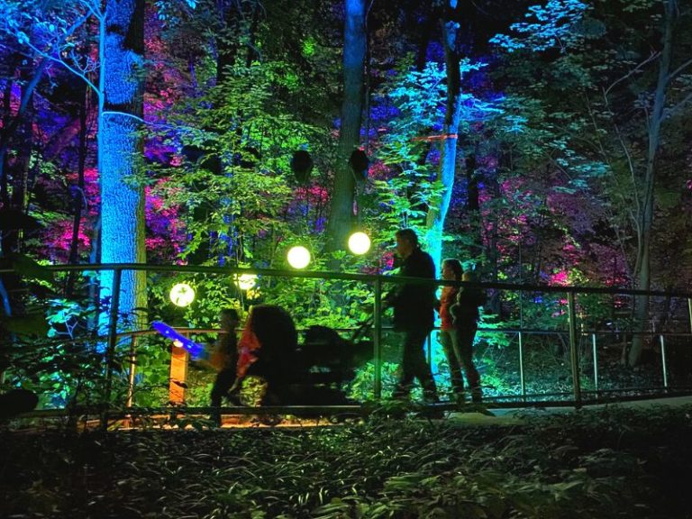 IllumiZoo John Ball Zoo Lights is back for 2022!