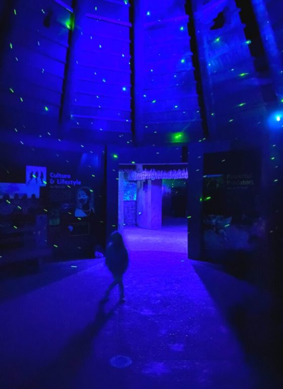 IllumiZoo John Ball Zoo Lights is back for 2022!