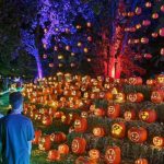 UPDATED: Jack O’Lantern World WILL NOT Return to West Michigan in October 2024