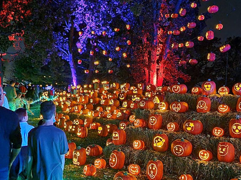 Jack O'Lantern World opens in Lemont, Illinois