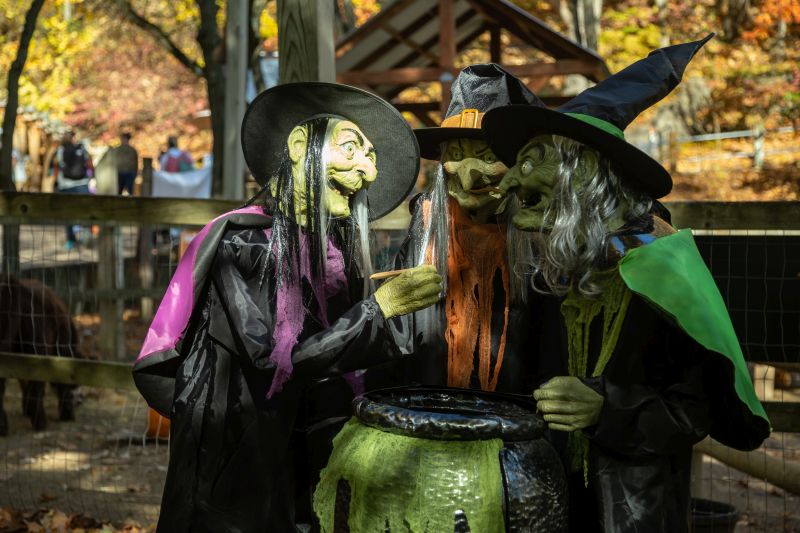 Zoo Goes Boo witches stirring brew