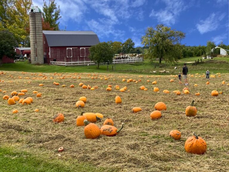 Best Pumpkin Patches 28 West MI Pumpkin Picking Farms to Visit this