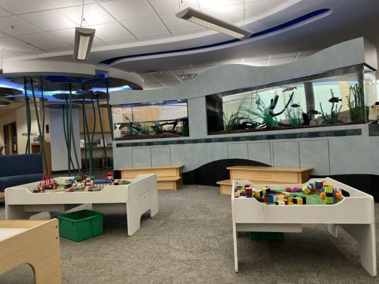 15 + Library Play Places Grand Rapids