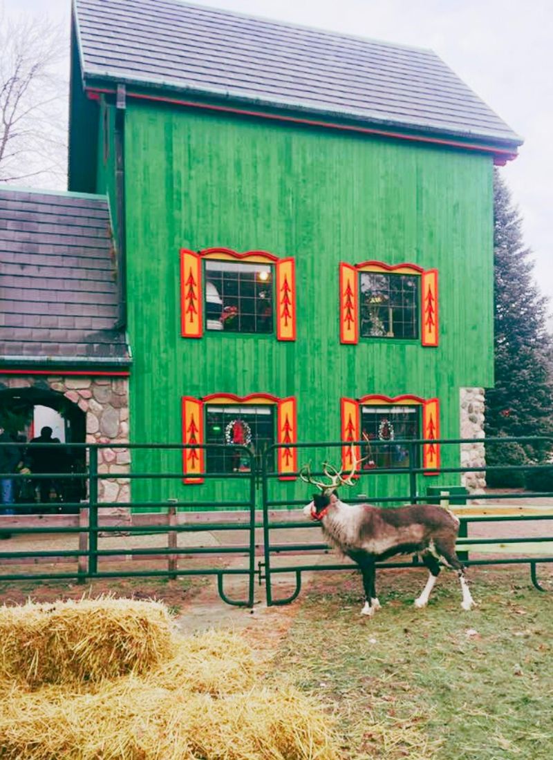 Reindeer at the Santa House in Midland