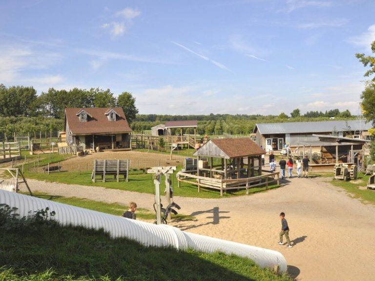 Anderson & Girls Orchards Exciting, Free Petting Zoo with Surprises