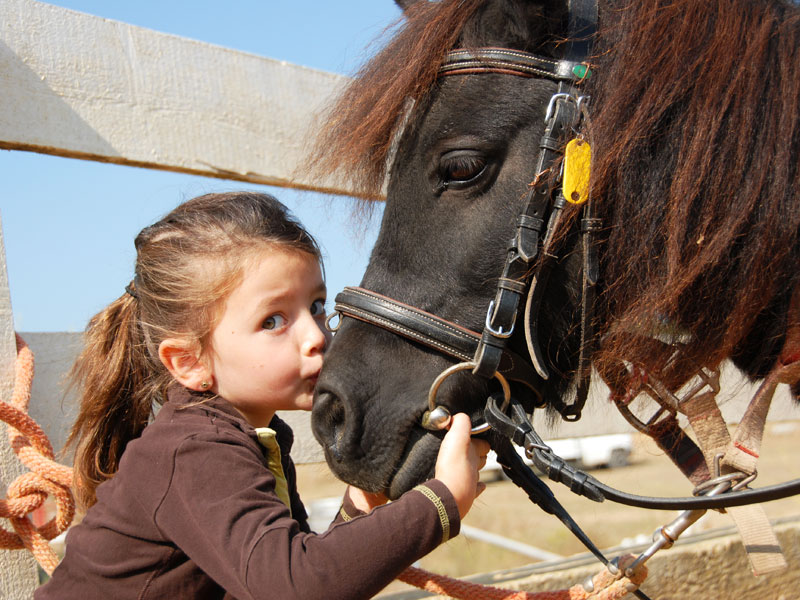 horseback riding lessons girl and pony