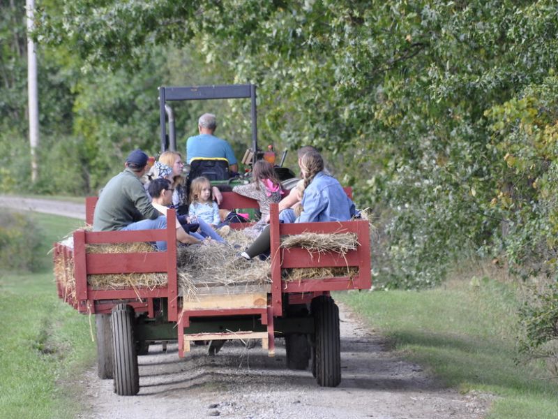 olin farm hayride in lowell mi