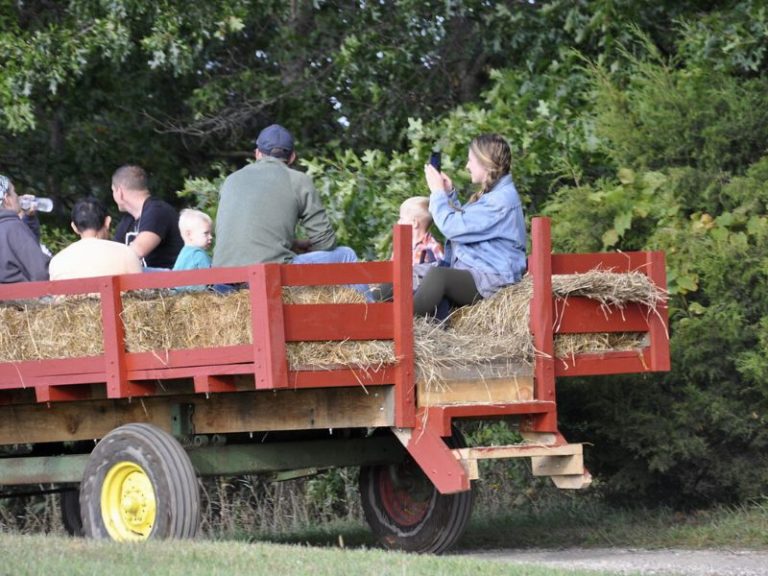 Choose Your Own Adventure Haunted Hayrides & Traditional Hayrides are