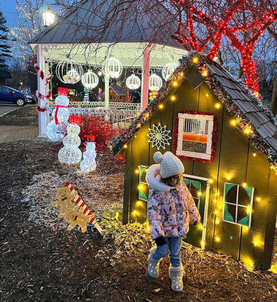 19+ Cozy Igloo Dining Restaurants in West Michigan