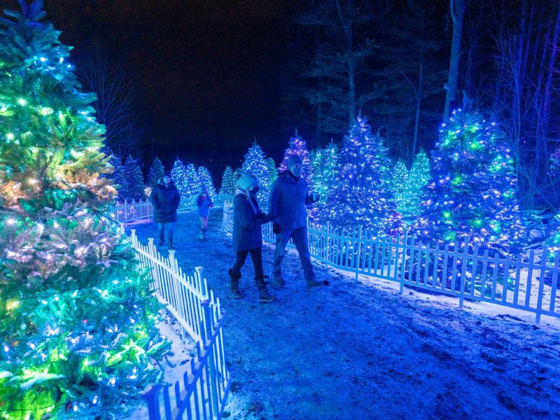 Glenore Trails walk through christmas lights in Michigan