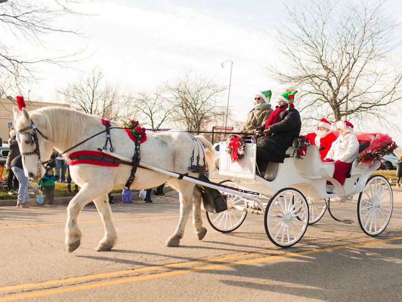 This image has an empty alt attribute; its file name is Hudsonville-Holiday-Parade-carriage.jpg