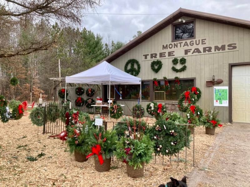 Montague Tree Farm store