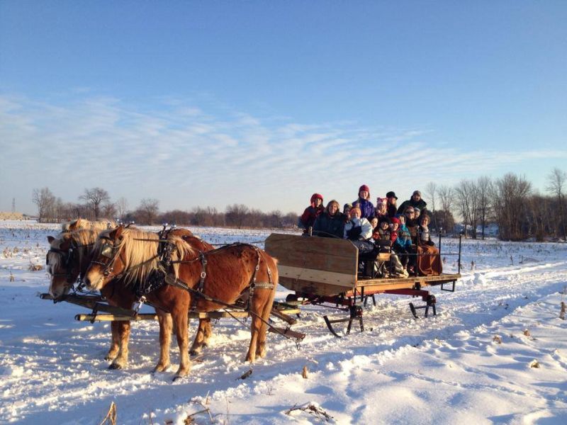 Post Family Farm sleigh ride