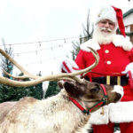 Michigan’s Magical Reindeer Farms: Lighted Walks, Santa Events & Traveling Reindeer Events – 2024